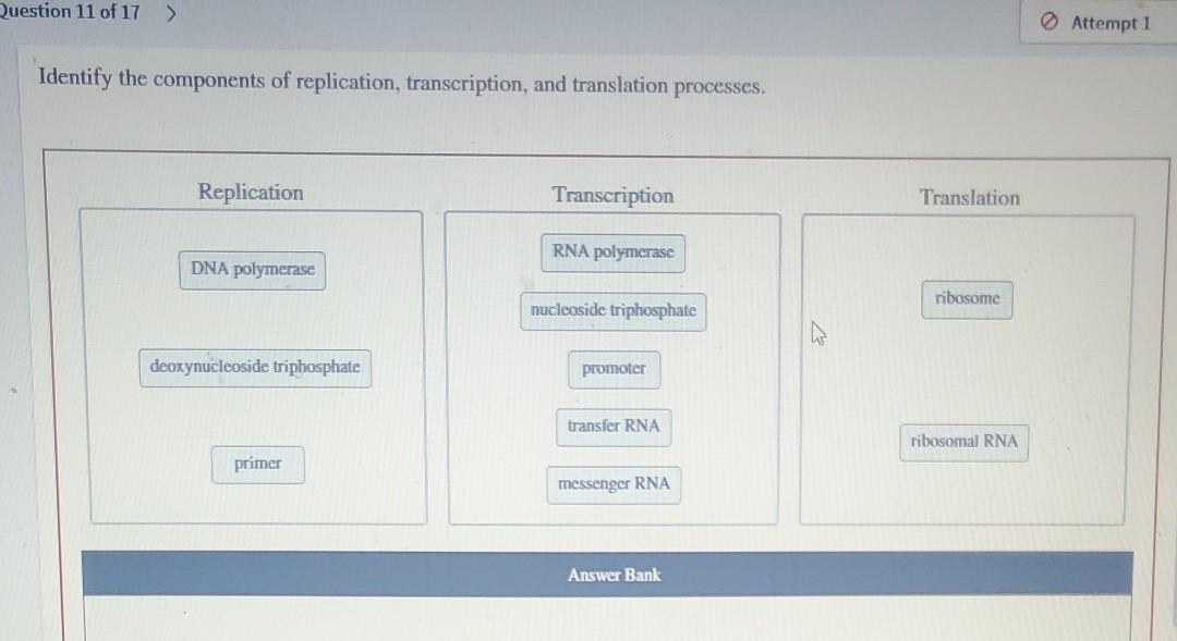Solved Question 11 of 17 > Attempt 1 Identify the components | Chegg.com