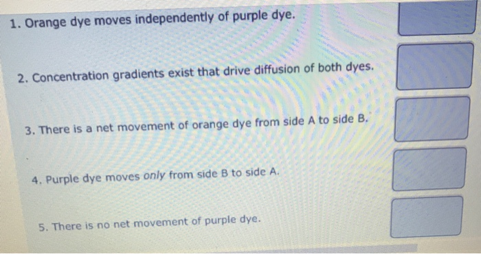 1. Orange dye moves independently of purple dye. 2. | Chegg.com