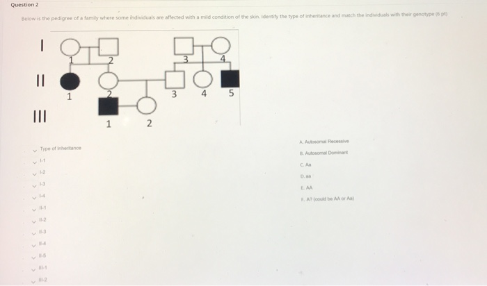Solved Question 2 Below is the pedigree of a family where | Chegg.com