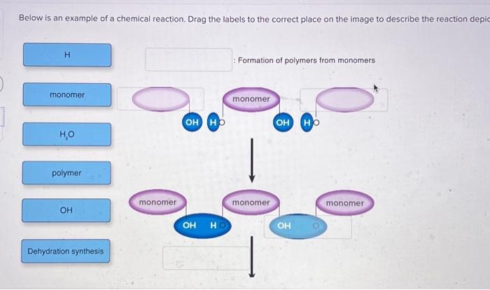 Below is an example of a chemical reaction. Drag the | Chegg.com