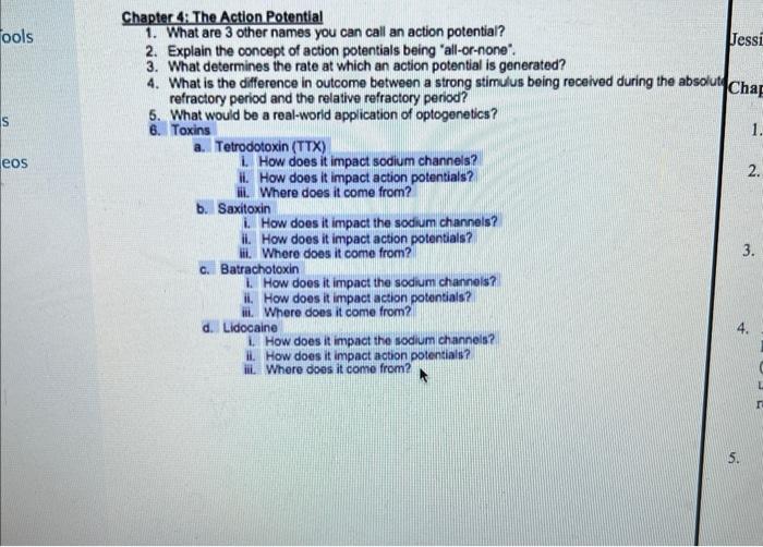 Solved Chapter 4: The Action Potential 1. What Are 3 Other | Chegg.com