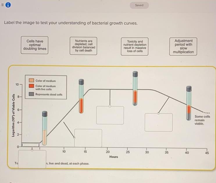 Solved Saved Label the image to test your understanding of | Chegg.com