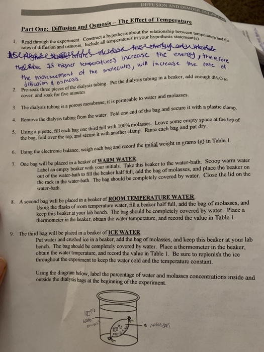 is the bag of molasses sorodicu to the solution in