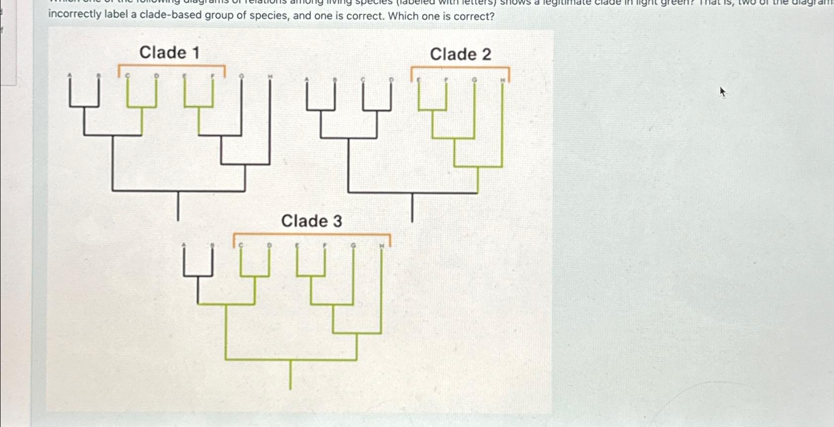Solved incorrectly label a clade-based group of species, and | Chegg.com