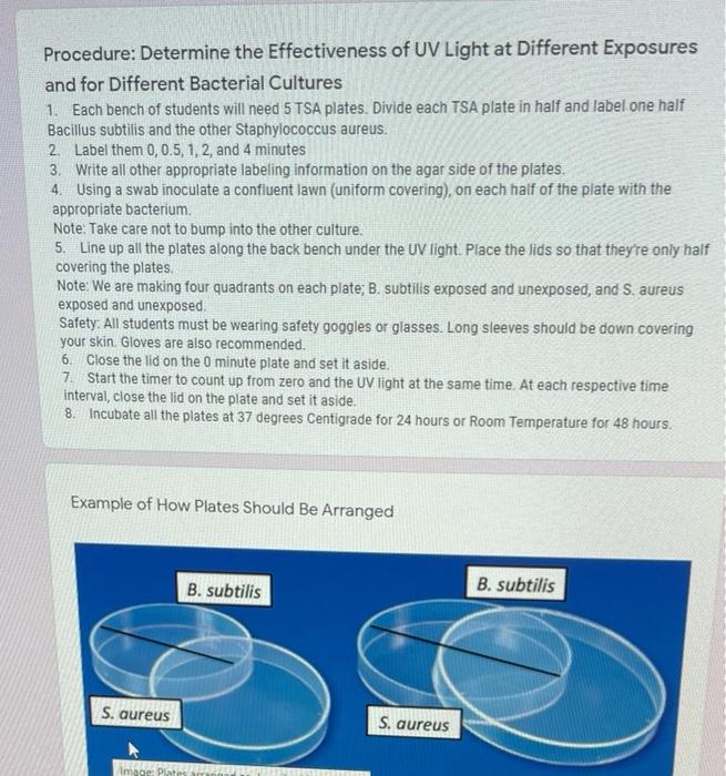 Solved Procedure: Determine the Effectiveness of UV Light at | Chegg.com