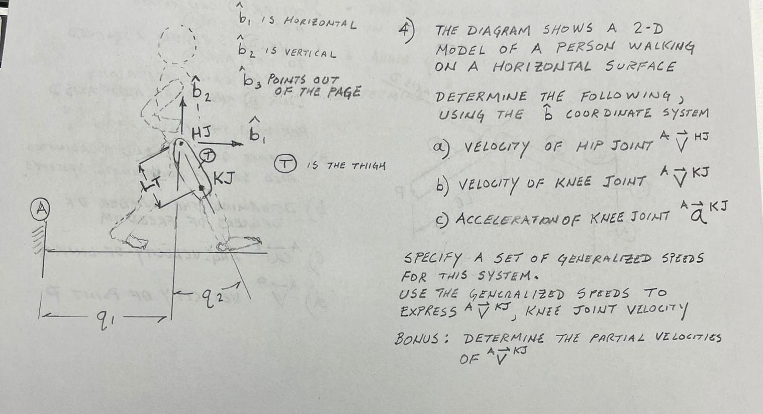 Solved 4) THE DIAGRAM SHOWS A 2-D MODEL OF A PERSON WALIKING | Chegg.com