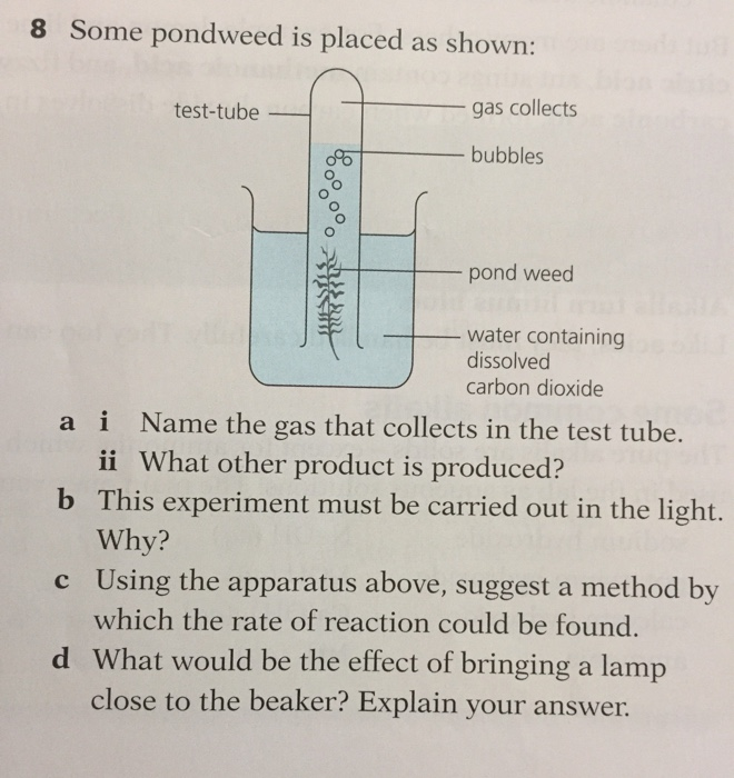 pondweed experiment exam question answer