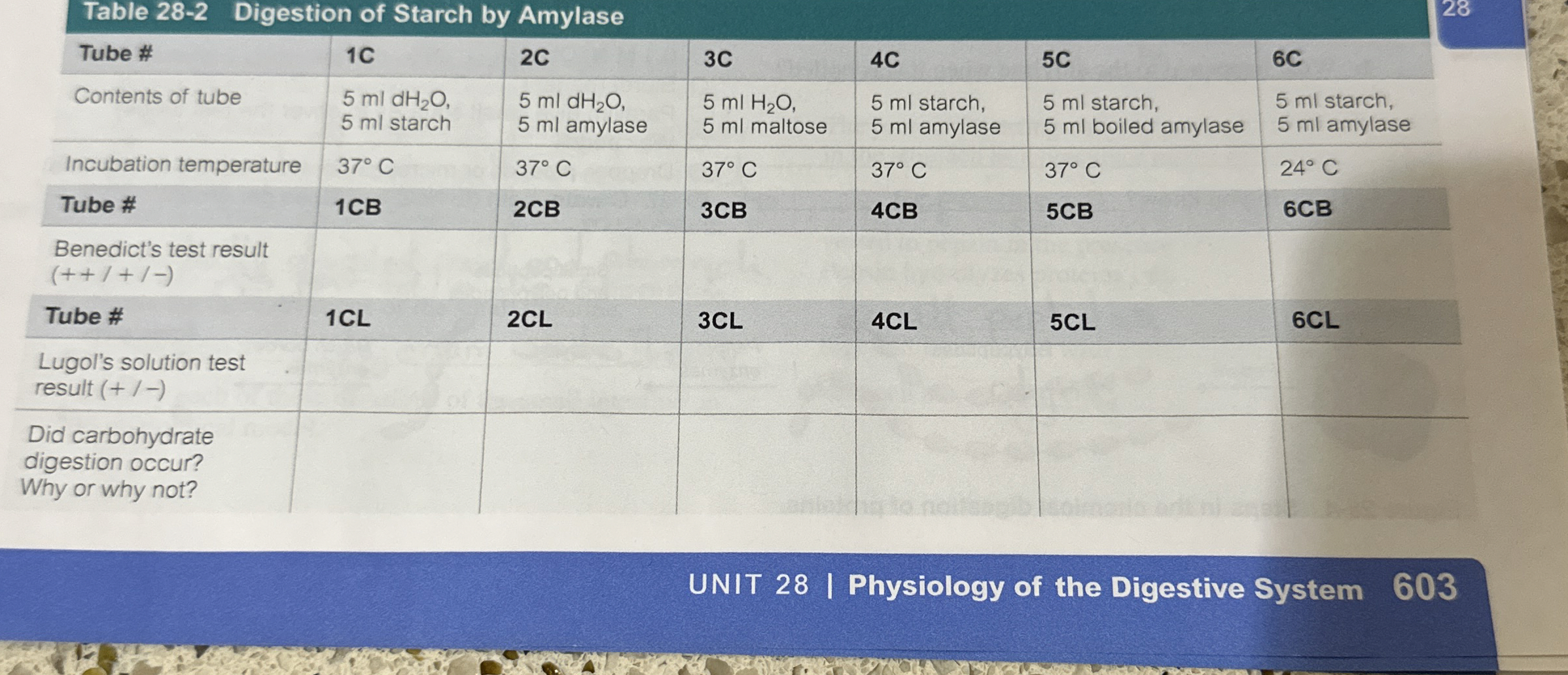 [Solved] table[[Tube ,1 C,2 C,3C,4 C,5 C,64],[Contents of