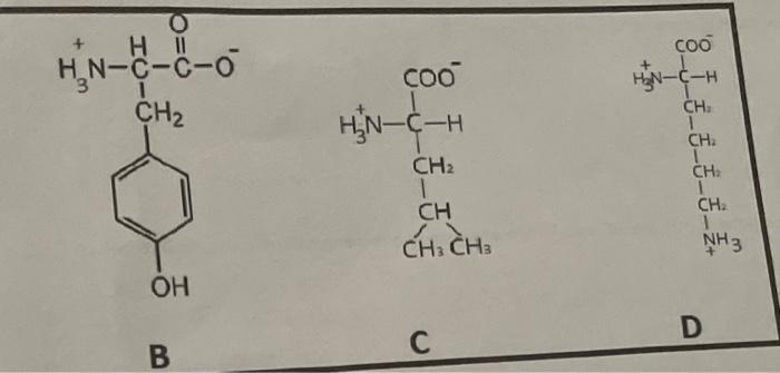 Solved B C D | Chegg.com