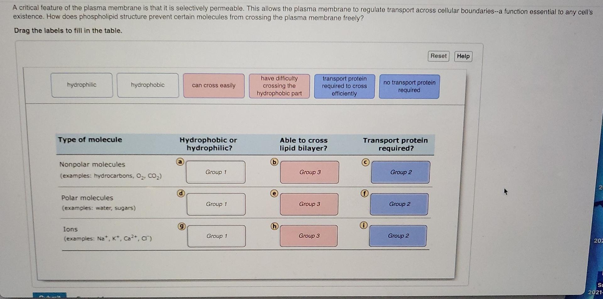 solved-a-critical-feature-of-the-plasma-membrane-is-that-it-chegg