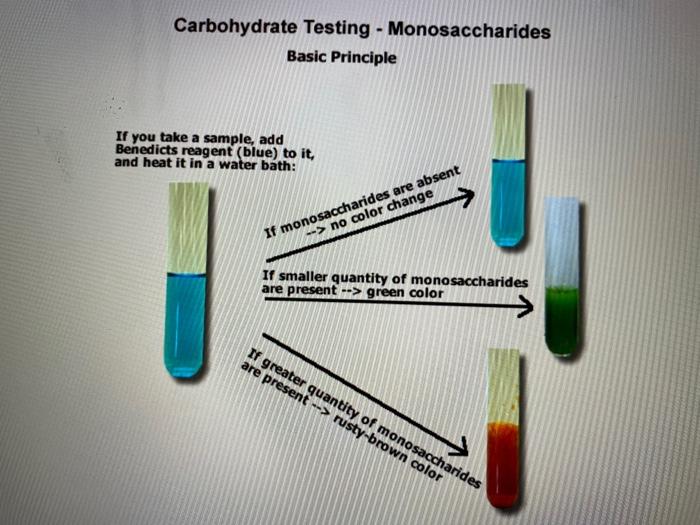 RESULTS (List your observations and then describe