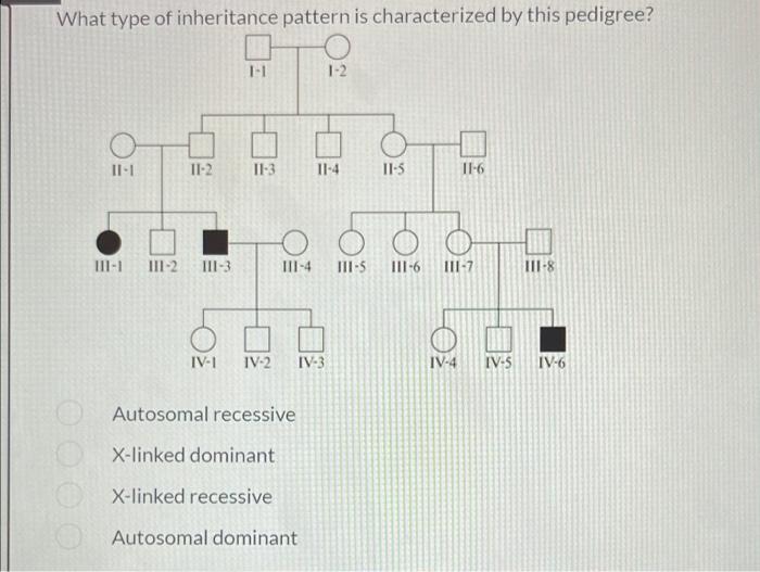 Solved What type of inheritance pattern is characterized by | Chegg.com