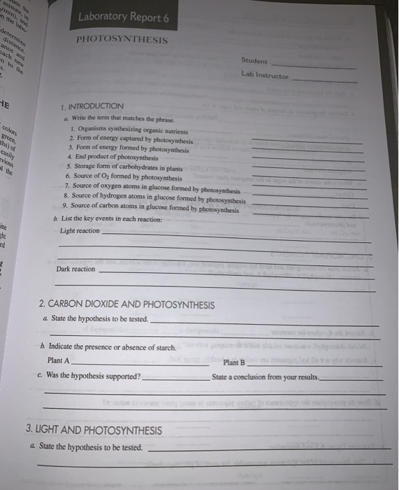 Solved Laboratory Report 6 de texte PHOTOSYNTHESIS Vo