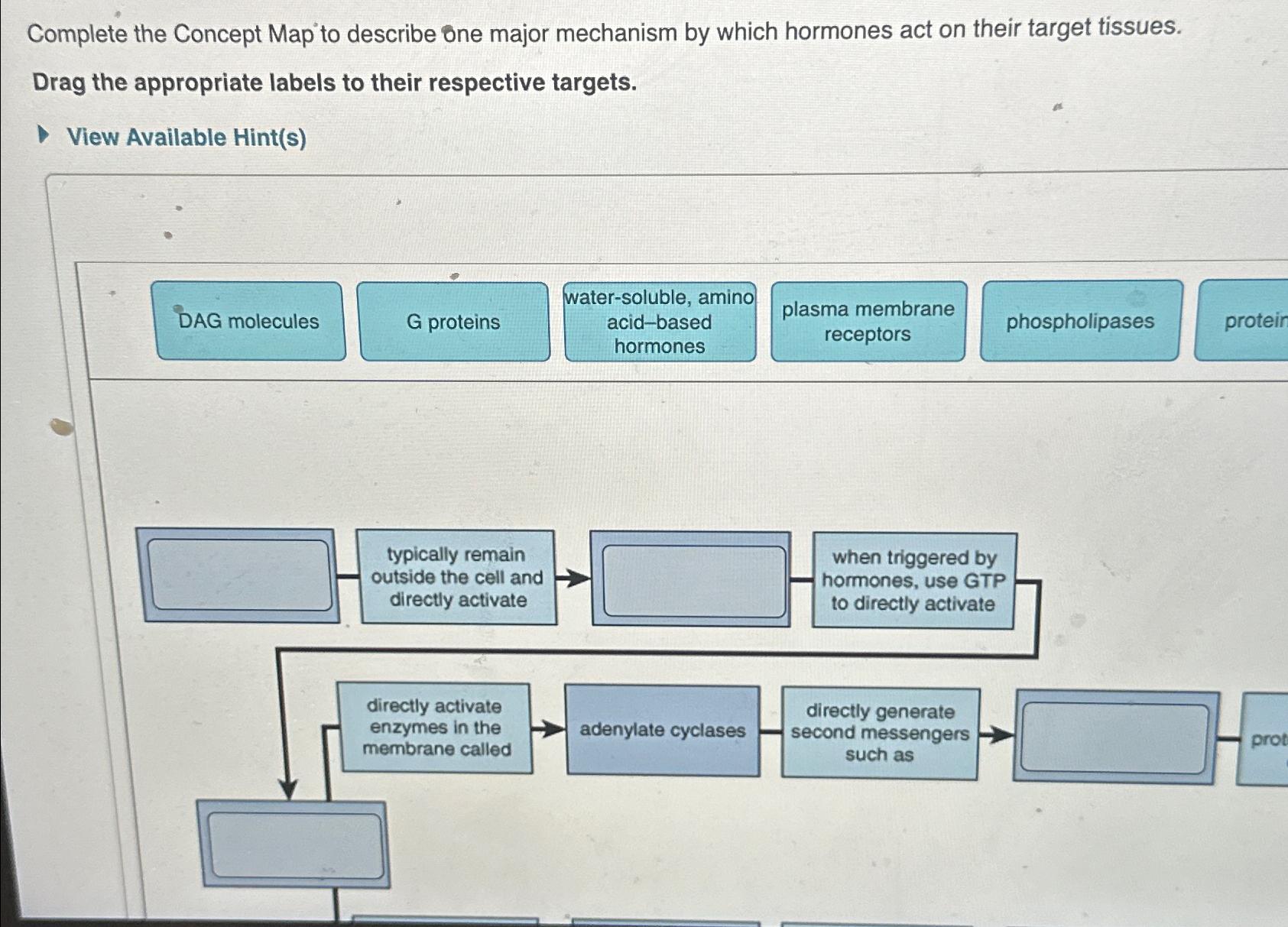 solved-complete-the-concept-map-to-describe-one-major-chegg