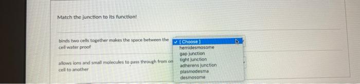 Solved Match the junction to its function! binds two cells | Chegg.com