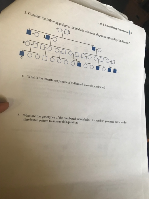 Solved 3. Consider The Following Pedigree. Individuals With | Chegg.com