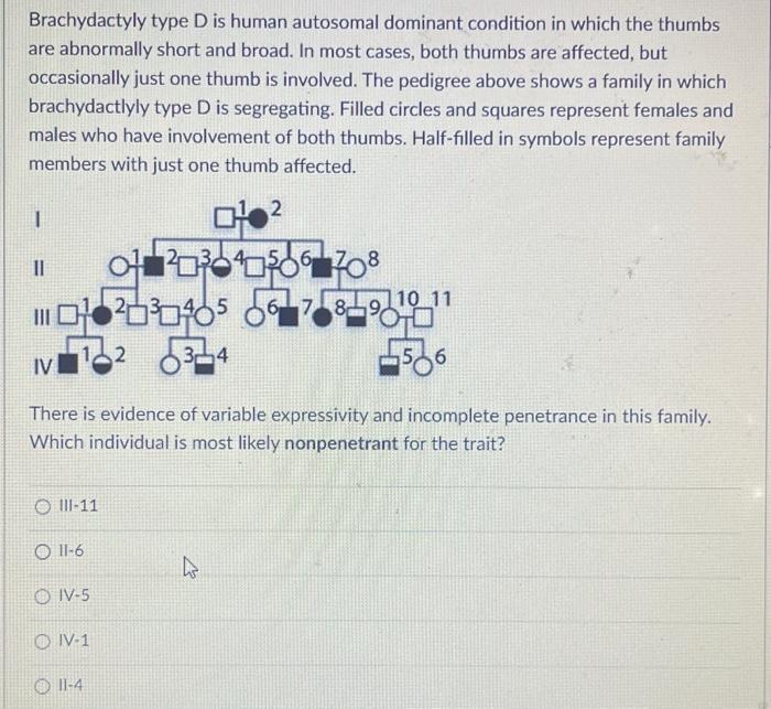 Solved Brachydactyly type D is human autosomal dominant | Chegg.com