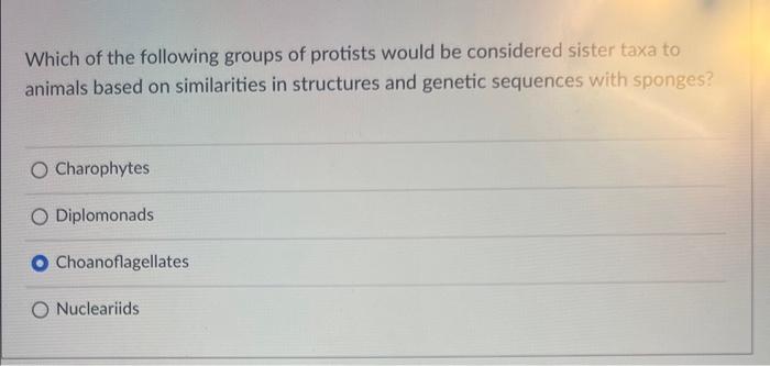 Solved Match each of the following protists to their primary | Chegg.com