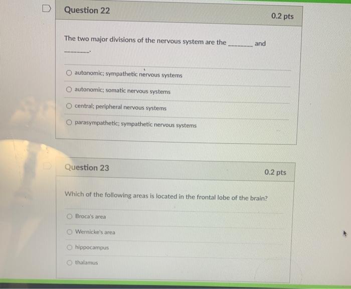 Solved Question 22 0.2 pts The two major divisions of the | Chegg.com
