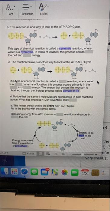 Solved B. This Reaction Is One Way To Look At The ATP.ADP | Chegg.com