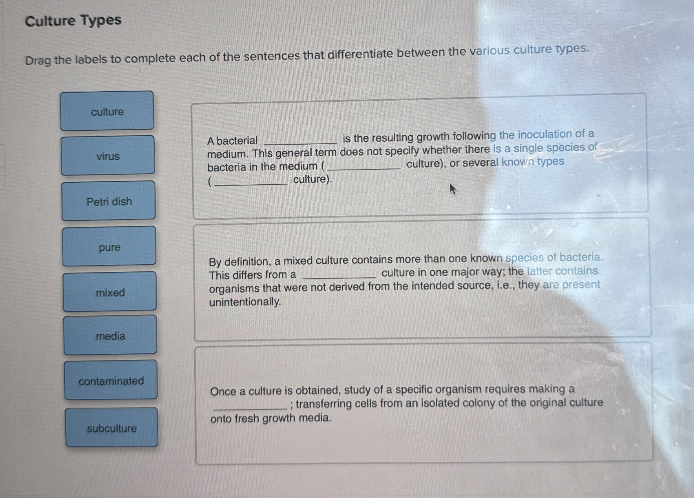 Solved Culture TypesDrag the labels to complete each of the | Chegg.com