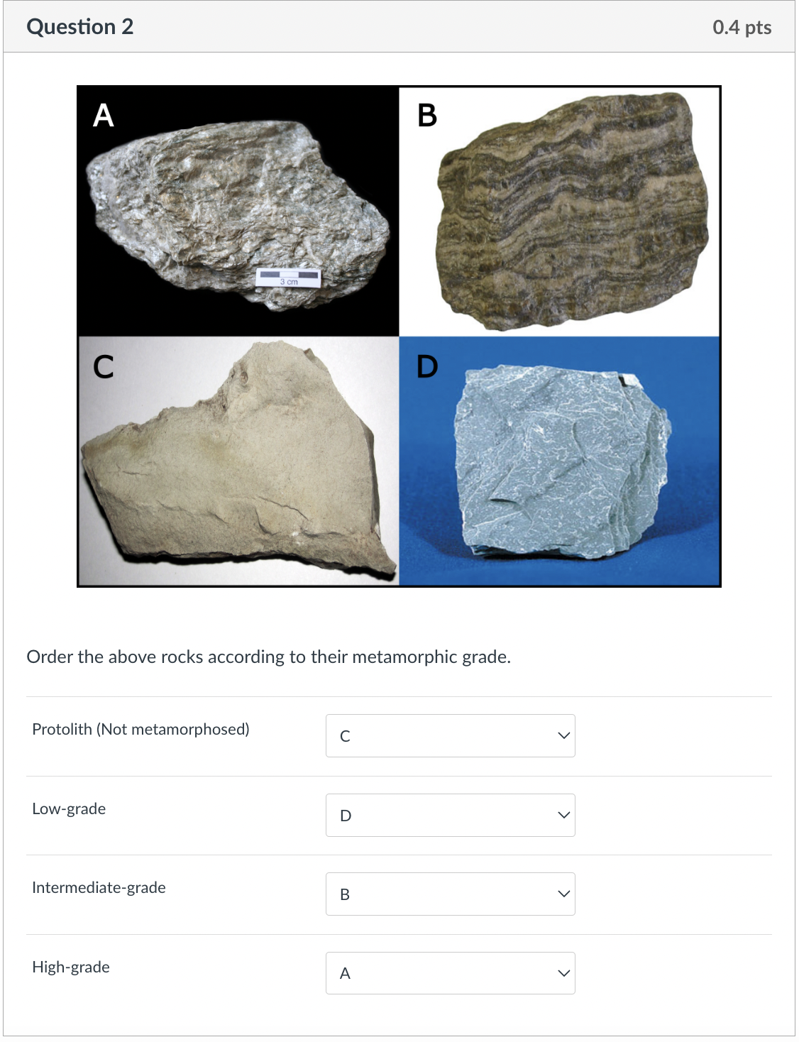 Solved Springs can stretch; so can different materials, | Chegg.com