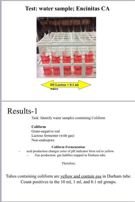 Test: water sample; Encinitas CA
Results-1
Task: Identify water samples containing Coliform
Coliform
Gram-negative rod
Lactos