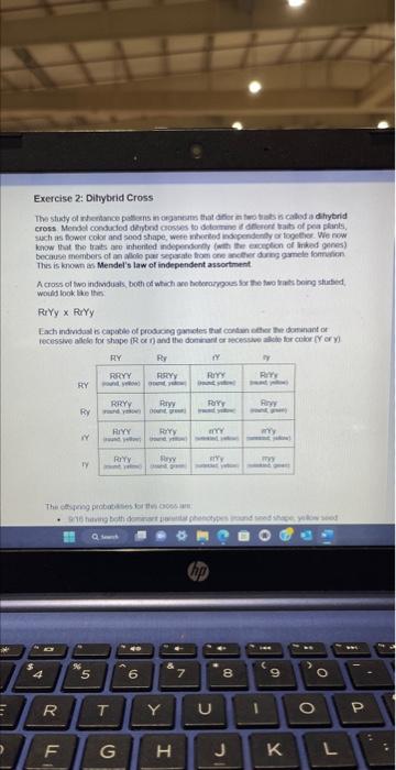 Solved I need this entire lab completed ive attached all | Chegg.com