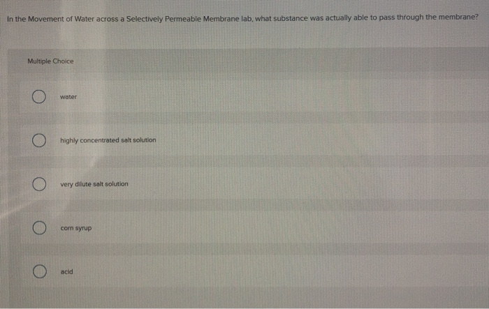 diffusion across a selectively permeable membrane lab answers