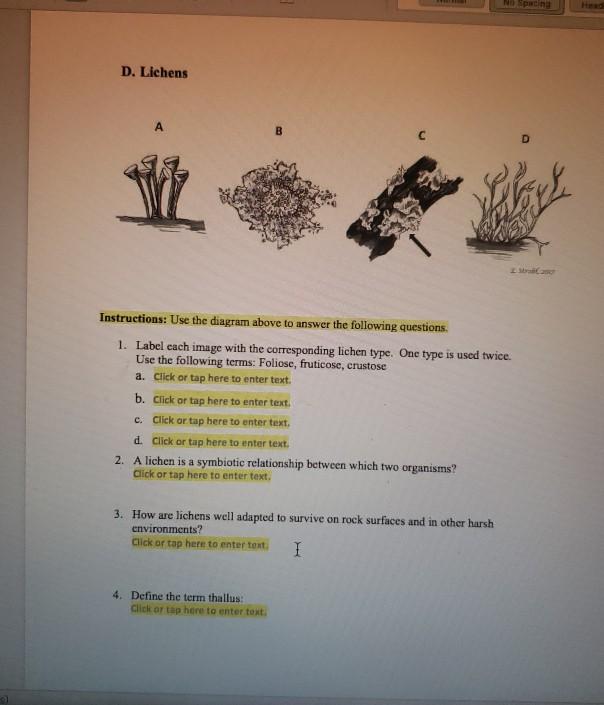 fruticose lichen diagram