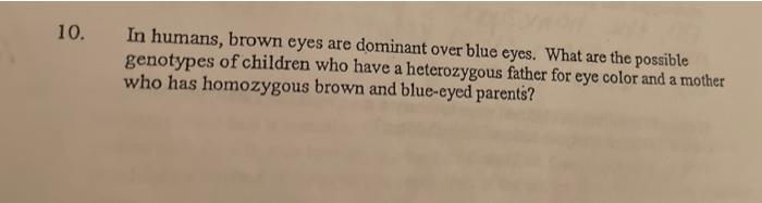 Solved 10. In Humans, Brown Eyes Are Dominant Over Blue | Chegg.com