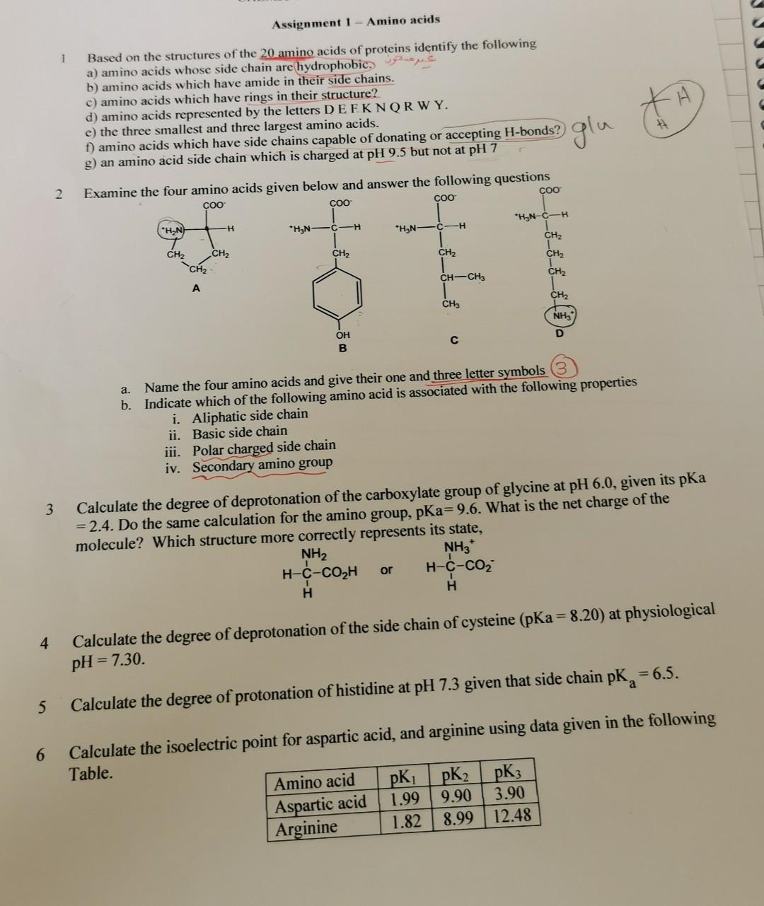 Solved Assignment 1 Amino acids 1 Based on the structures of | Chegg.com