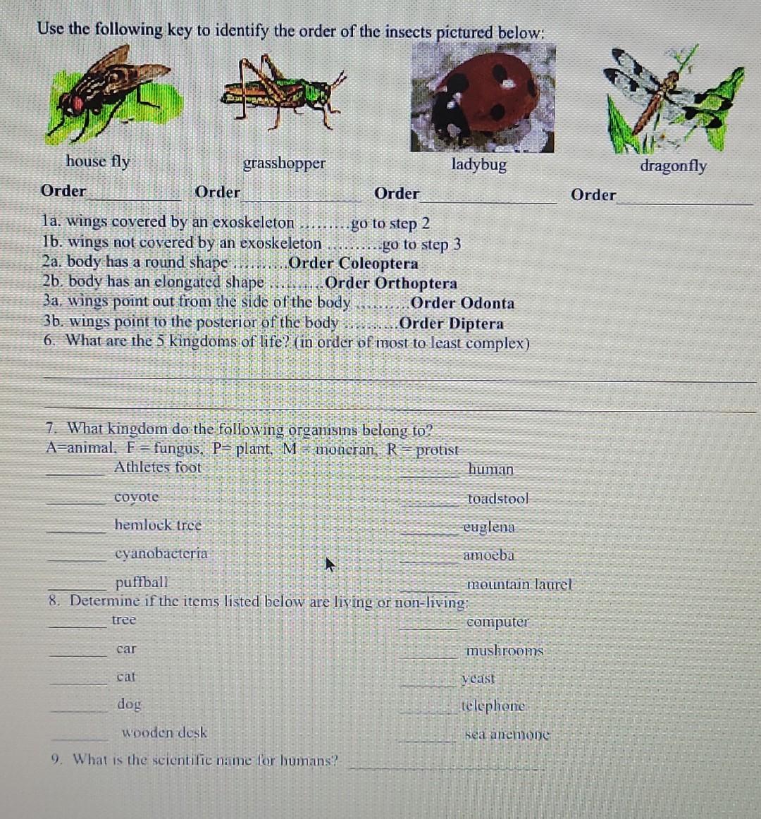 Solved Use the following key to identify the order of the | Chegg.com