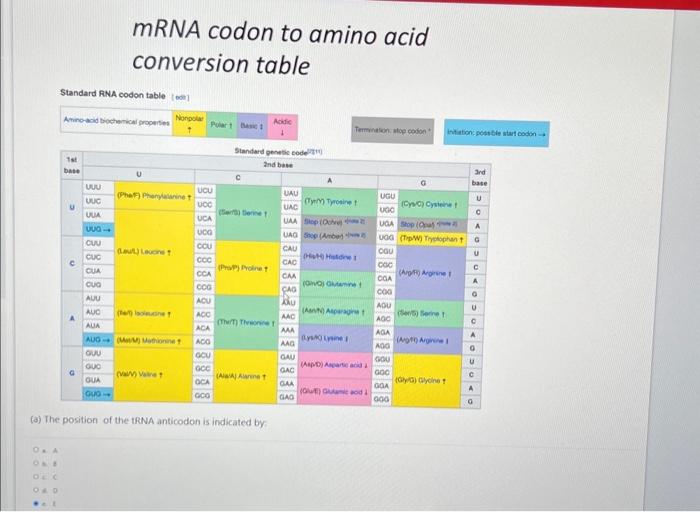 mRNA codon to amino acid conversion table
Standard RNA codon table [ oot 1
(a) The position of the 1RNA anticodon is indicate