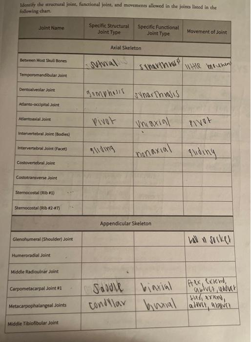 Solved Isentify The Structural Joint Functional Joint And Chegg