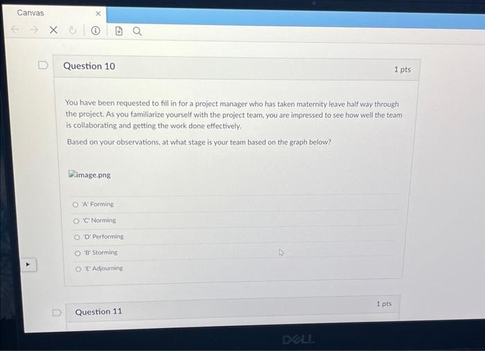 Solved You have been requested to fill in for a project | Chegg.com