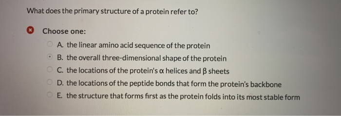 Solved What does the primary structure of a protein refer | Chegg.com