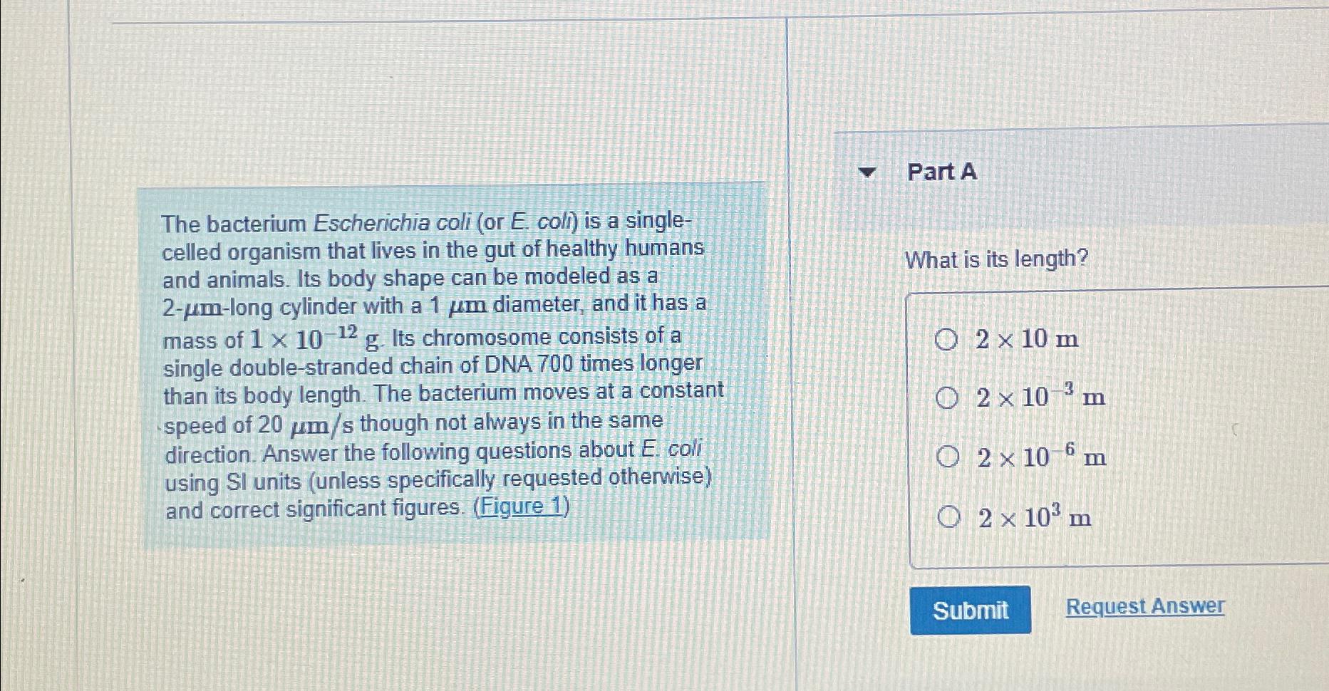 Solved The bacterium Escherichia coli (or E. ﻿coll) ﻿is a | Chegg.com