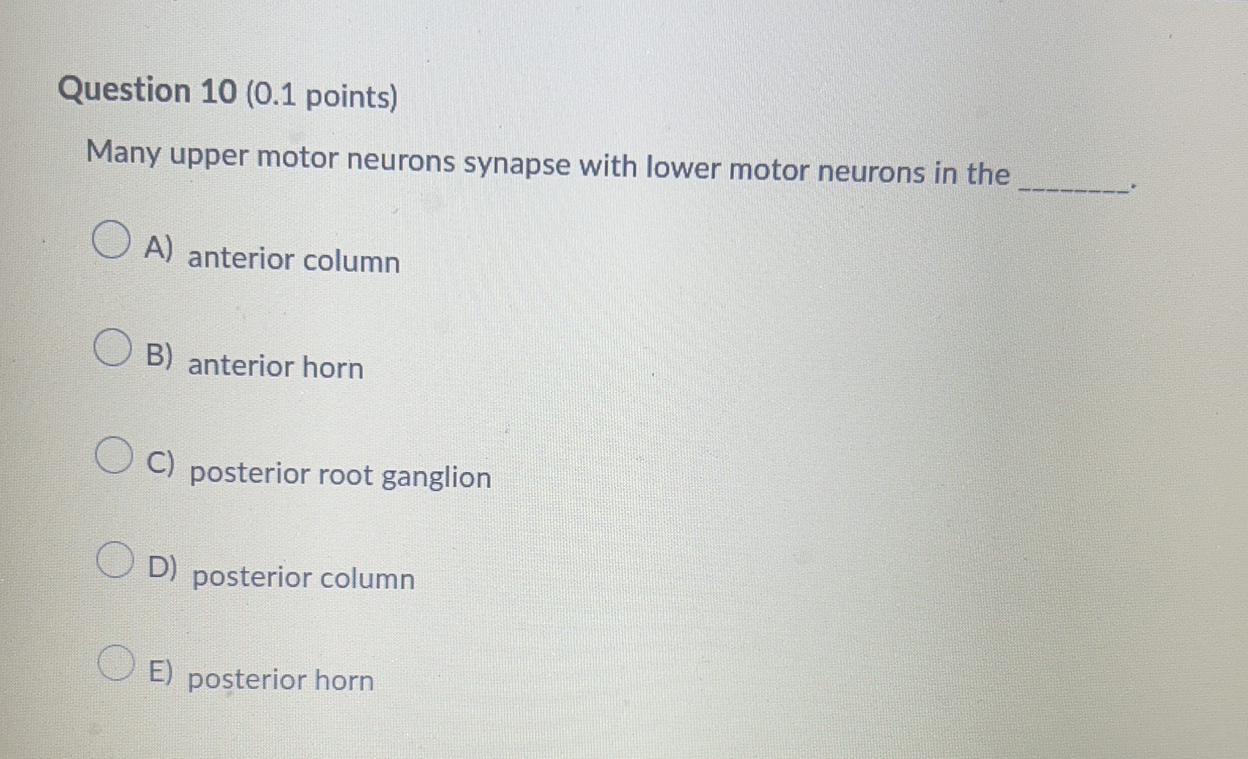 Solved Question 10 (0.1 ﻿points)Many upper motor neurons | Chegg.com