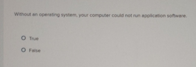 Solved Without an operating system, your computer could not | Chegg.com