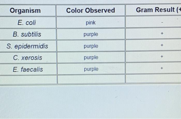 Solved Gram stain process Gram staining steps Cell effects | Chegg.com