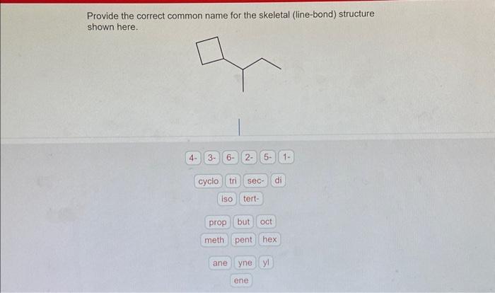 Solved Provide the correct common name for the skeletal | Chegg.com