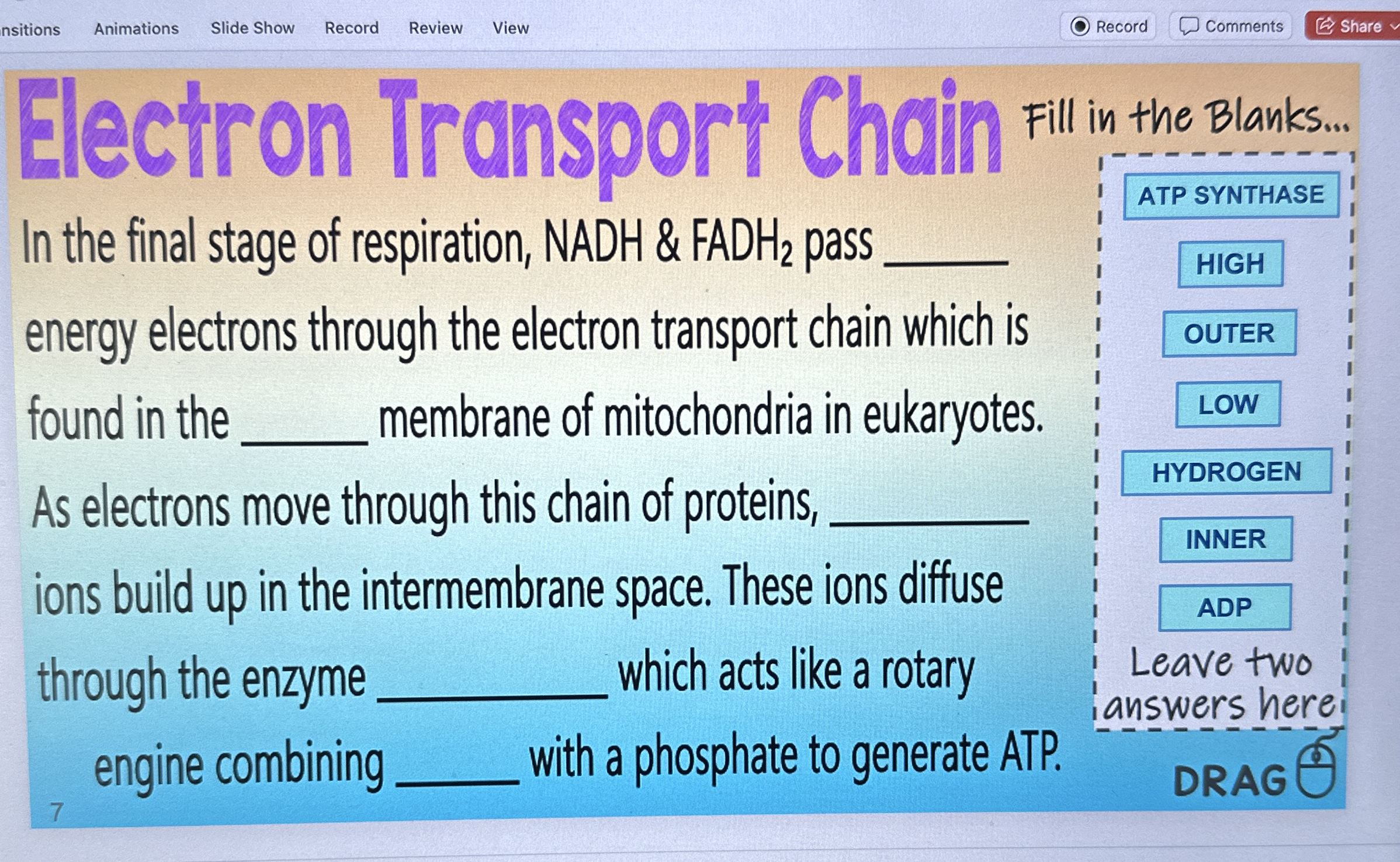 Solved Electron Transport Chain Filinthe berames.In the | Chegg.com