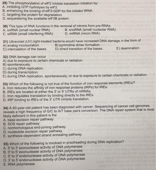 Solved 29) The phosphorylation of elF2 inhibits translation | Chegg.com