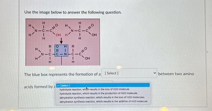 Solved Use the image below to answer the following question. | Chegg.com