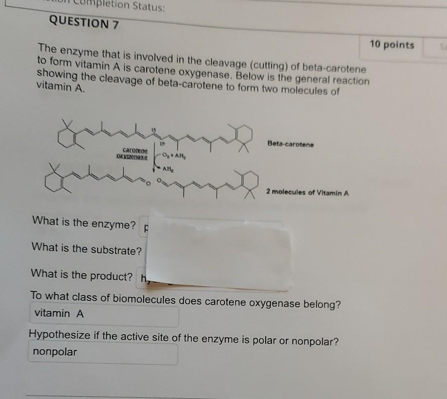 Solved pletion Status QUESTION 7 10 points The enzyme that