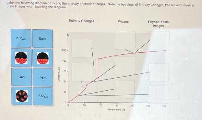 Label the following diagram depicting the entropy of phase changes. Note the headings of Entropy Changes, Phases and Physical