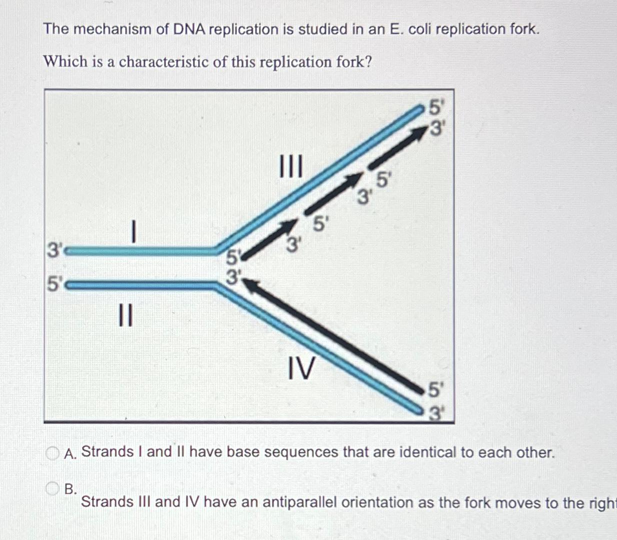 Solved The mechanism of DNA replication is studied in an E. | Chegg.com