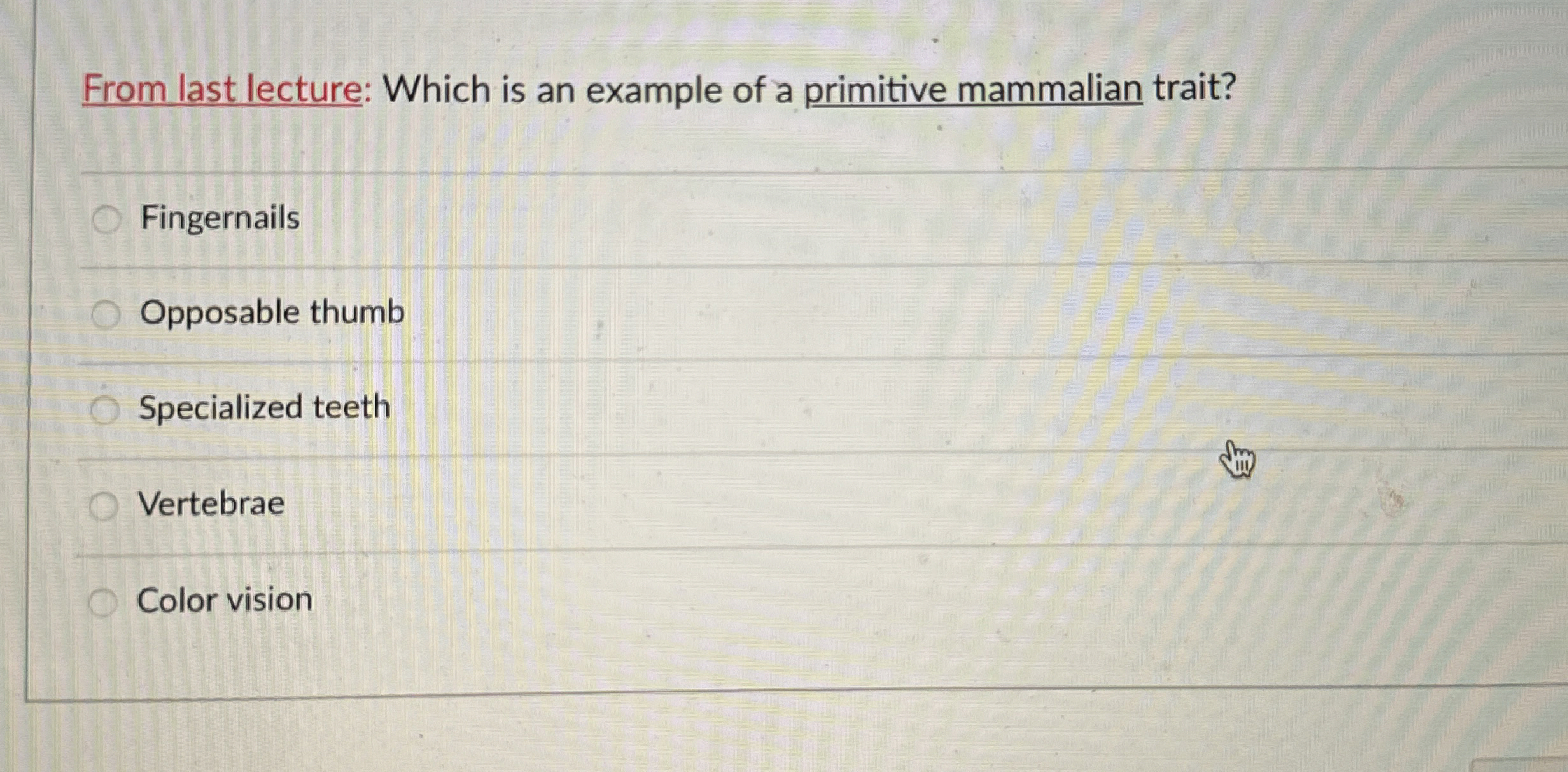 Solved From last lecture: Which is an example of a primitive | Chegg.com