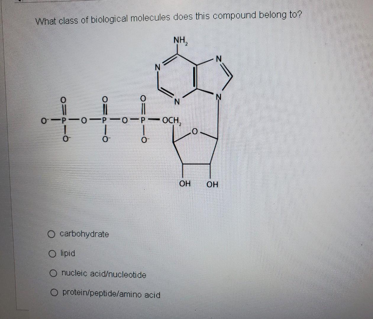 Solved What class of biological molecules does this compound | Chegg.com